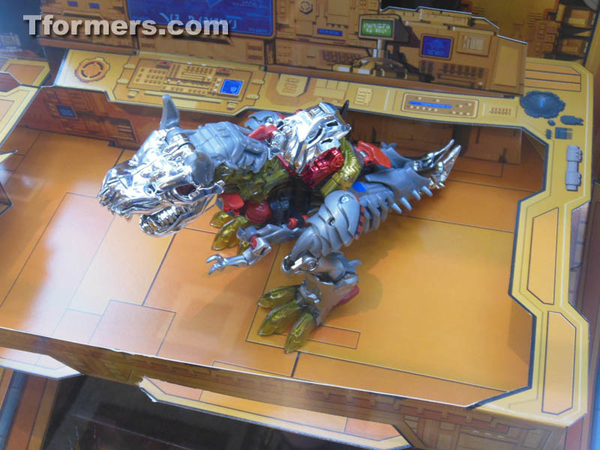 BotCon 2014 G1 Dinobots Age Of Extinction  (12 of 19)